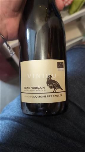 Thung lũng sông Loire Saint-Pourçain Domaine Des Cailles L'esprit 2022