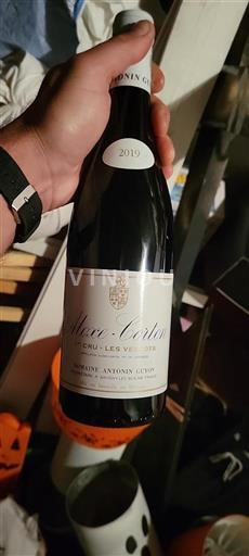 Borgoña Aloxe-Corton Premier Cru Domaine Antonin Guyon 2019