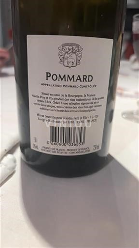 Borgonha Pommard Naudin Père et Fils 2022