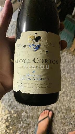 Borgoña Aloxe-Corton Domaine Doudin- Arbelet 2020