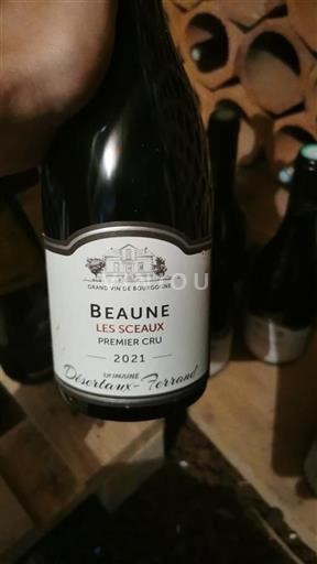 Borgogna Beaune Premier Cru Domaine Désertaux-Ferrand Les Sceaux 2021