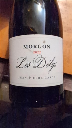 Beaujolais Morgon Jean-Pierre Large Les Délys 2022