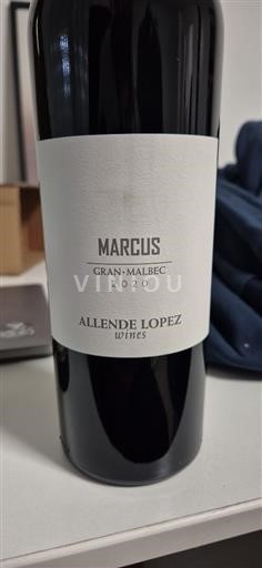Mendoza Non specificato Allende Lopez Marcus 2020