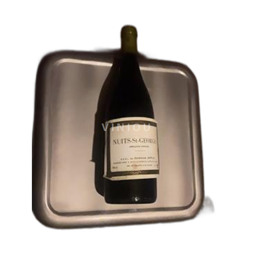 Burgundy Nuits-Saint-Georges Domaine Jafflin 1995
