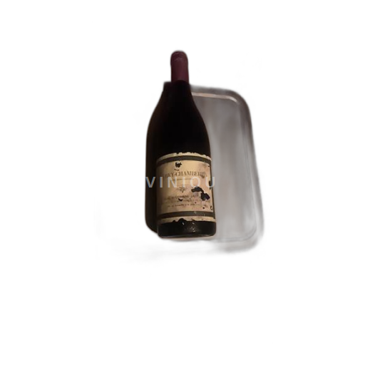 Bourgogne Gevrey-chambertin Domaine Jaffelin 1999