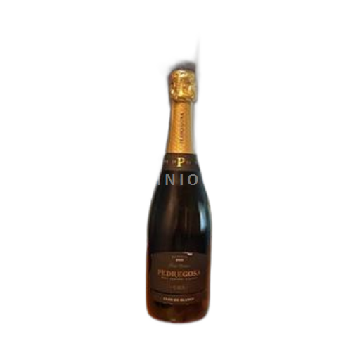 Catalonien Ikke specificeret Castelo de Pedregosa Brut Nature Reserva Clos de Blancs 2019