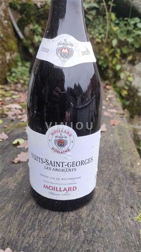 Burgundy Nuits-Saint-Georges Moillard Les Argillats 2020