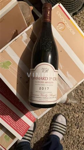 Burgundy Pommard Premier Cru Domaine Violot-Guillemard Clos des Arvelets 2017
