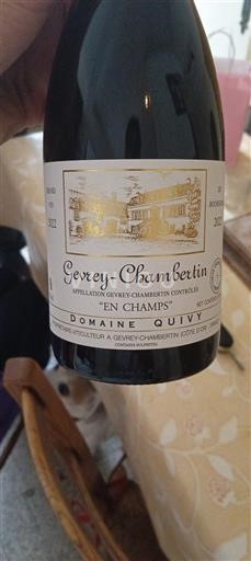 Burgundy Gevrey-Chambertin Domaine Quivy En Champs 2022