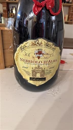 Piemonte Nebbiolo d'Alba Salvano 2006