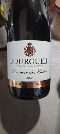 Thung lũng sông Loire Bourgueil Domaine Des Épiots 2024