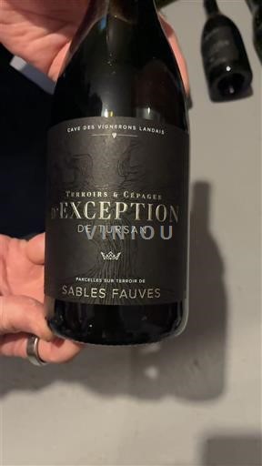 Sudoeste Tursan Cave des Vignerons Landais Terroires & Cépages d'Exception de Tursan 2022