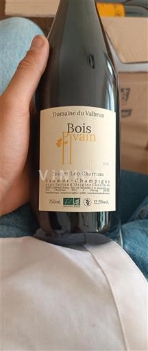 Valle del Loira Saumur-Champigny Domaine Valbrun Bois Pluvain 2023