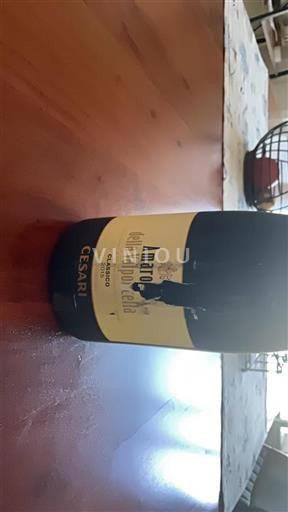 Veneto Amarone della Valpolicella Cesari 2015