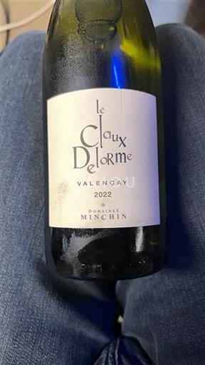 Loire Valley Valençay Domaine S Minchin Le Claux Delorme 2022