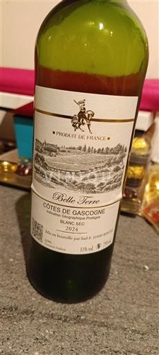 Sudoeste Côtes de Gascogne Belle Terre 2024