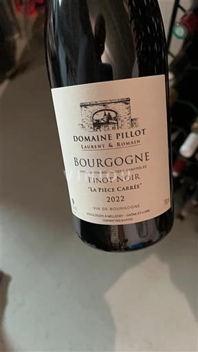 Borgoña Domaine Pillot La Pièce Carrée 2022