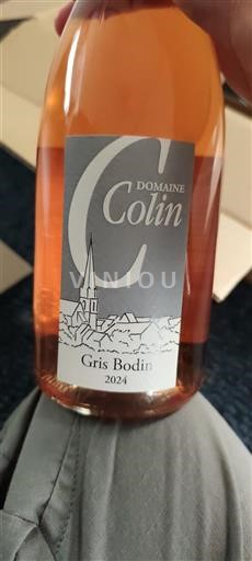 Loiretal Coteaux du Vendômois Domaine Colin Gris Bodin 2024