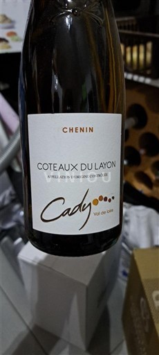 Loirevallei Coteaux du Layon Cady Chenin 2022
