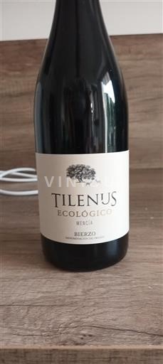 Castile and León Bierzo Tilenus Ecológico 2024