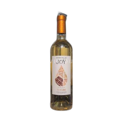 Sudoeste Côtes de Gascogne Domaine Joÿ St. André 2020