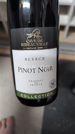 Alsace Cave de Ribeauvillé Collection 2019