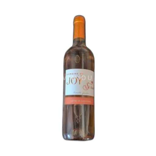 Sudoeste Côtes de Gascogne Domaine Joÿ St. André 2019