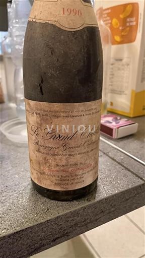 Bourgogne Ikke specificeret Domaine Gay Dufouleur Le Grand Chambert 1990