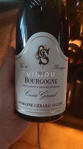 Burgundi Bourgogne Domaine Gérard Seguin Gérard 2021