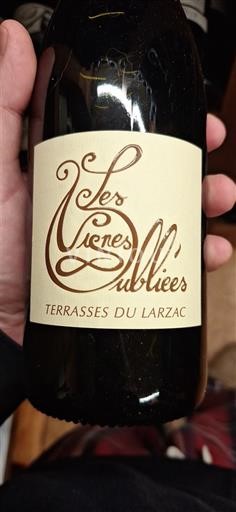 Langvedok Terrasses-du-Larzac Les Vignes Oubliées Neleten.