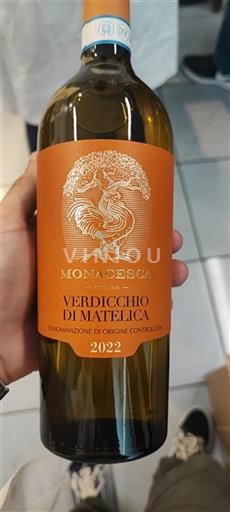 Vin Blanc sec Monacesca 2022 Italie Marche Verdicchio di Matelica DOC