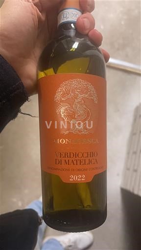 Marken Verdicchio di Matelica Monacesca 2022