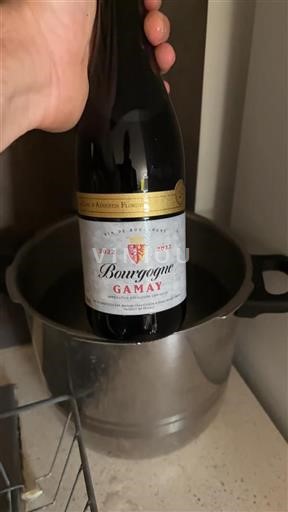 Borgoña Domaine Auguste Florent 2022