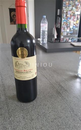 Burdeos Puisseguin-saint-émilion Château Branda 2013