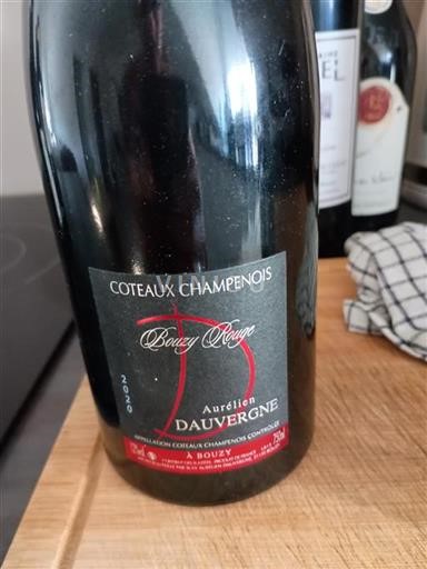 Samppanja Coteaux Champenois Aurélien Dauvergne Bouzy Rouge 2020