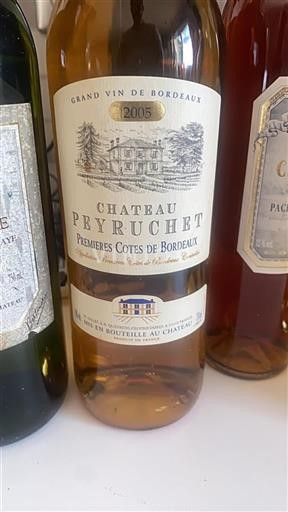 Burdeos Primeras Colinas de Burdeos Château Peyruchet 2005
