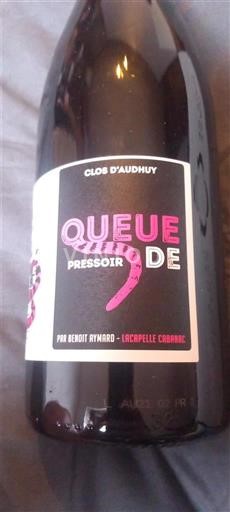 Tây Nam Cahors Clos Audhuy Queue de Pressoir Không niên vụ