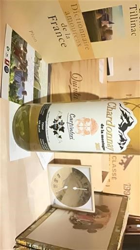 Québec Không được chỉ định Carpinteri Chardonnay de la montagne 2021