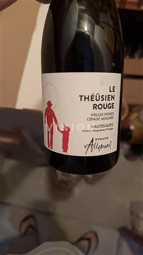 Provence, Ala-Rhônen laakso, Korsika Hautes-Alpes Domaine Allemand Le Théüsien Rouge Ei vuosikertaa
