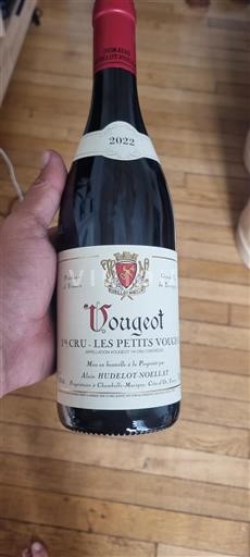 Burgundija Vougeot Premier Cru Domaine Hudelot-Noellat Les Petits Vougeot 2022