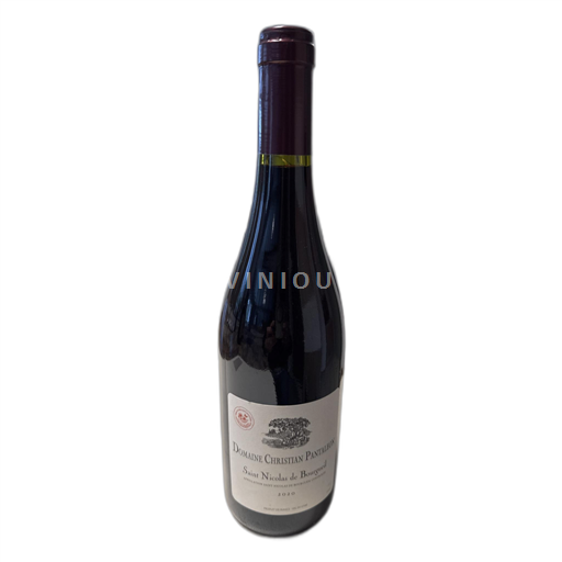 Valle della Loira Saint-Nicolas-De-Bourgueil Domaine Christian Pantaleon 2020