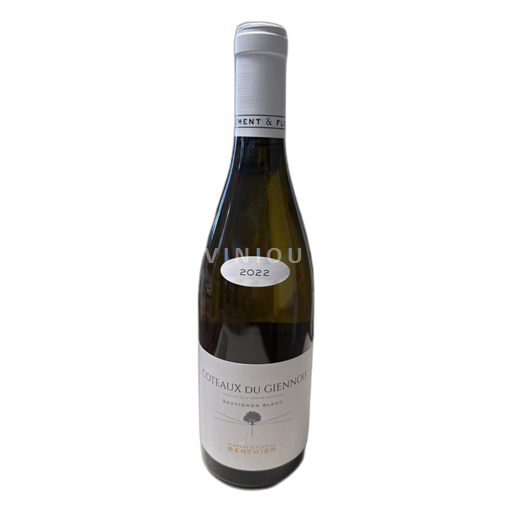Údolí Loiry Coteaux du Giennois Clément & Florian Berthier 2022