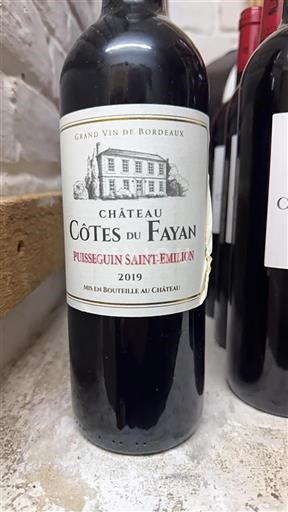 Burdeos Puisseguin-saint-émilion Château Côtes du Fayan 2019