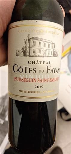 Bordeaux Puisseguin-saint-émilion Château Côtes du Fayan 2019