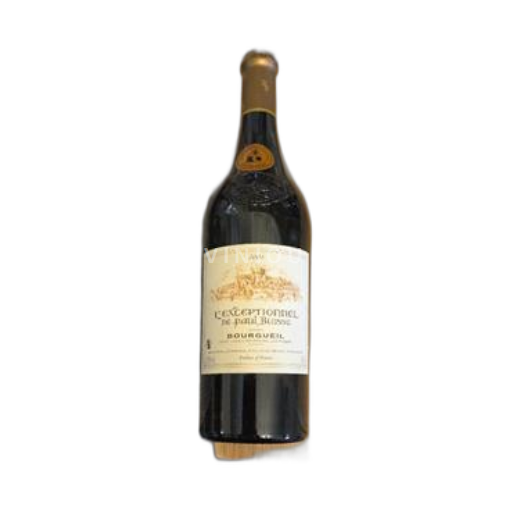 Valle del Loira Bourgueil Paul Buisse L'Exceptionnel 2005