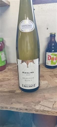 Alsace Cave du Roi Dagobert Sélection 2022