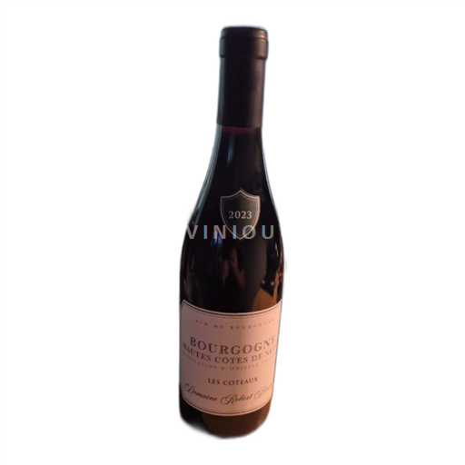 Bourgogne Hautes Côtes de Nuits Domaine Robert Bissey 2023