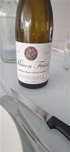Borgogna Mâcon e Mâcon-Villages David Chagny 2019