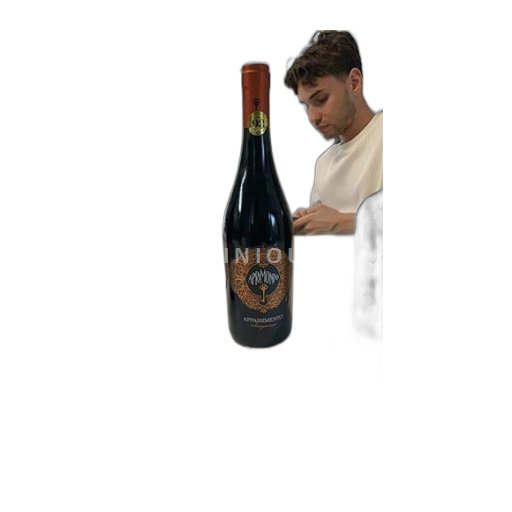 Emilia-Romagna Rubicone Caviro Sangiovese Rubicone 2021