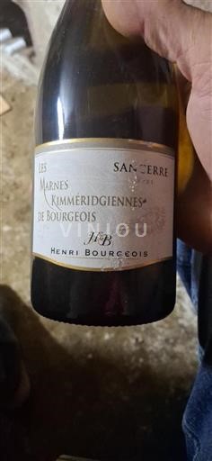 Valle del Loira Sancerre Henri Bourgeois Les Marnes Kimméridgiennes 2021
